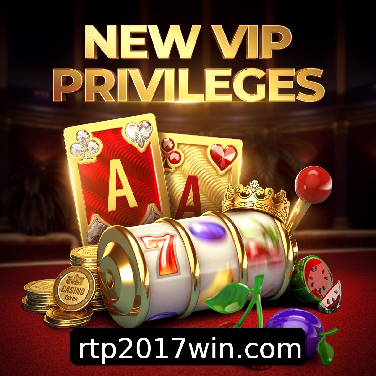 Programa VIP 2017win